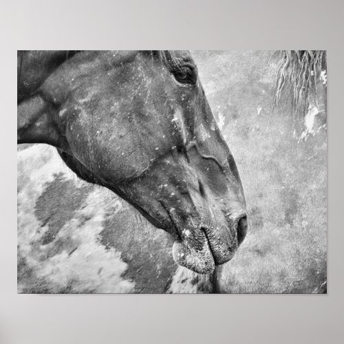 Horse Black And White Country Rustic Farm Style Poster