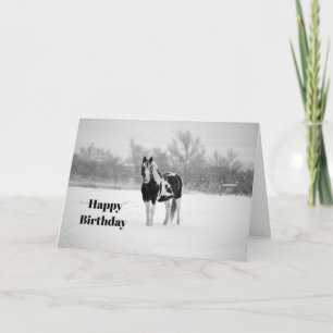 Horse Black and White Snow Photo Birthday Card