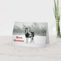 Horse Black and White Snow Photo Christmas Holiday Card