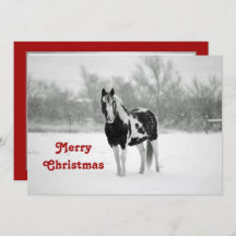 Horse Black and White Snow Photo Christmas