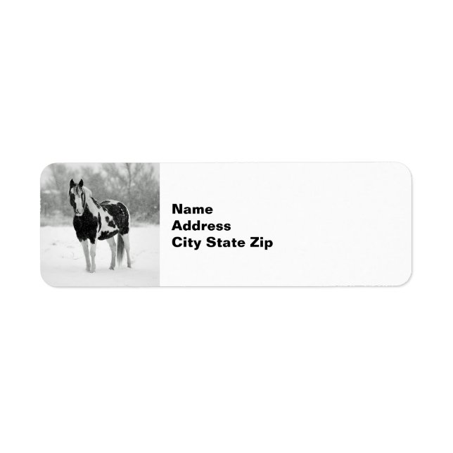 Horse Black and White Snow Photo Label (Front)