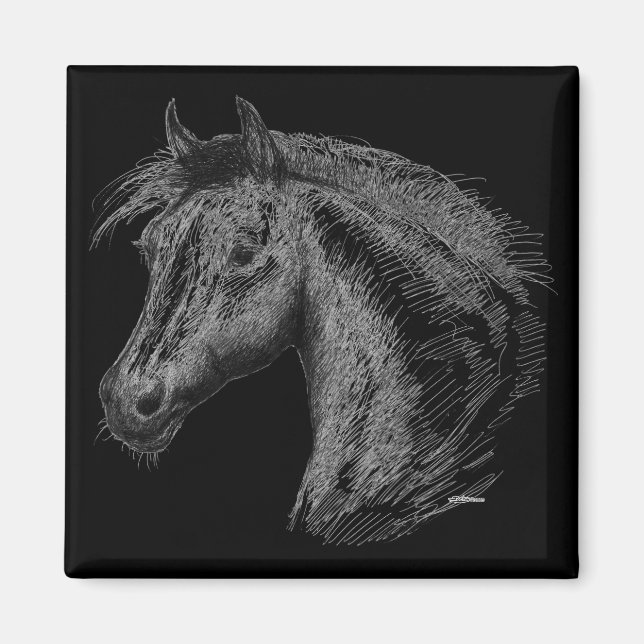 Horse:  Black Magnet (Front)
