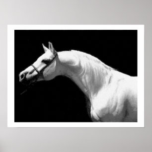 Horse Black & White Poster