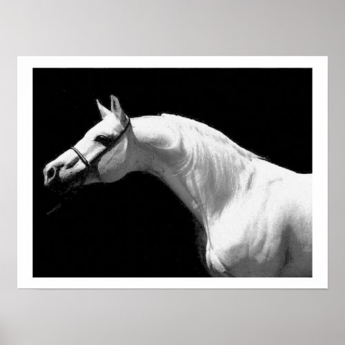Horse Black  White Poster