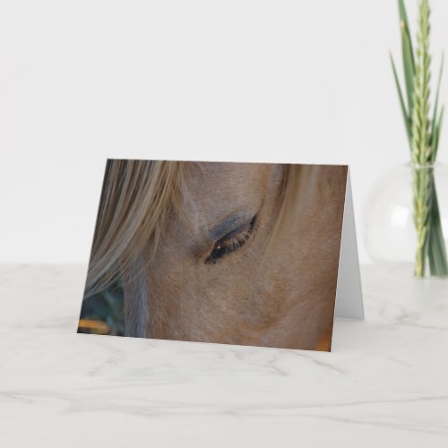 Horse blank card template note card