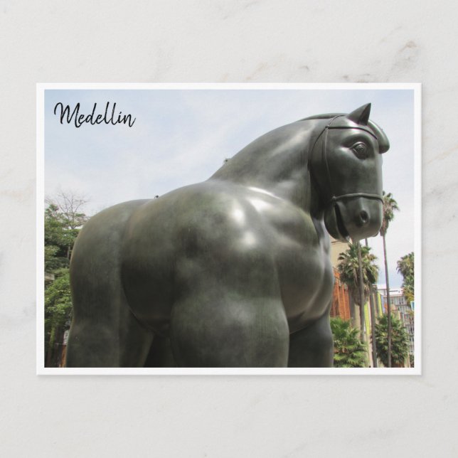 horse botero postcard (Front)