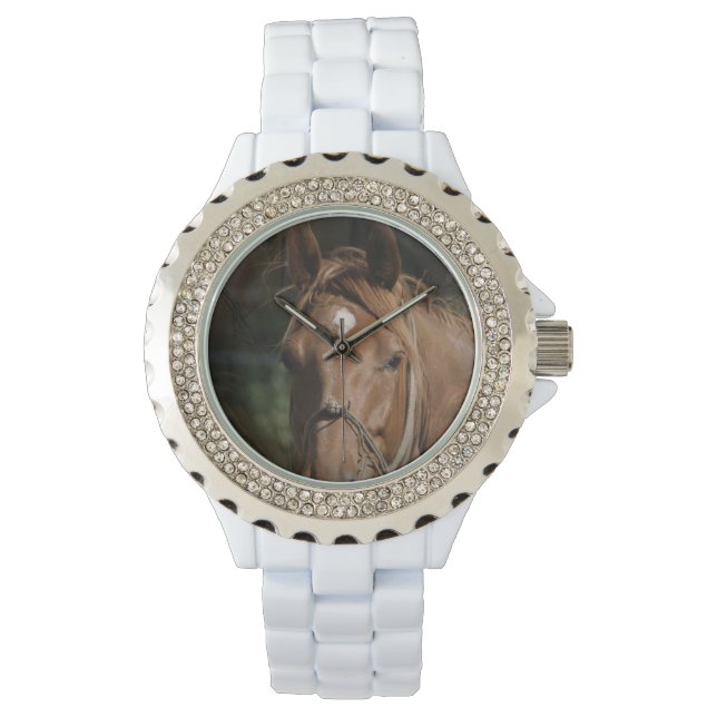 Horse Breeds Watch (Front)
