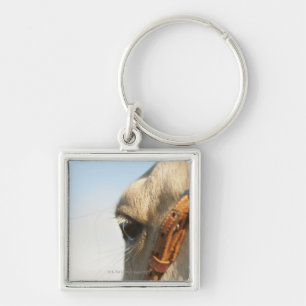 Horse bridle keychain