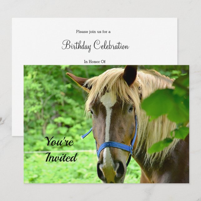 Horse Brown Belgian Draft Photo Birthday Invitation (Front/Back)