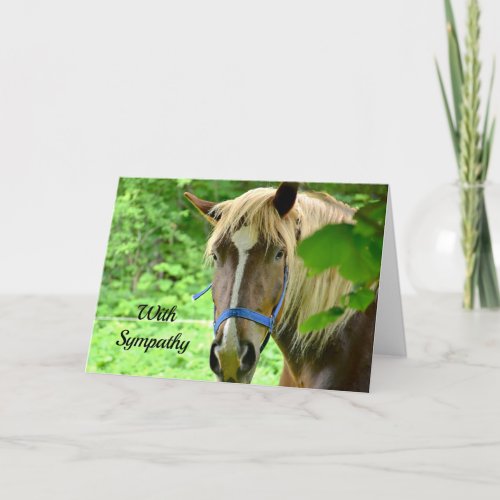 Horse Brown Belgian Draft Photo Sympathy Card