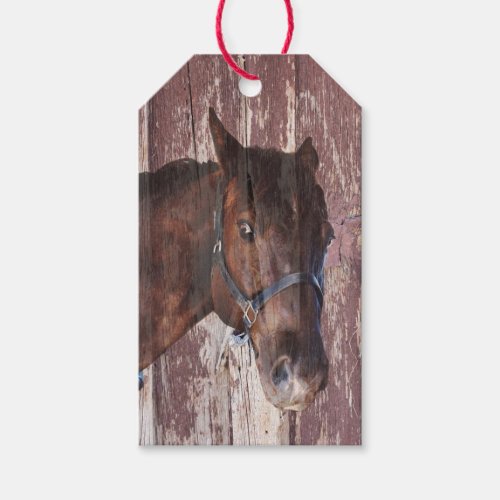 Horse brown eyes ears head cowboy western gift tags