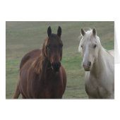 Horse Buddies (Front Horizontal)