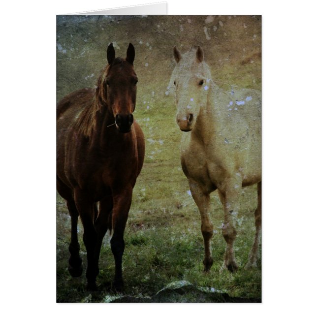 Horse Buddies Grunge Cards (Front)