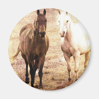 Horse Buddies Sepia Magnet