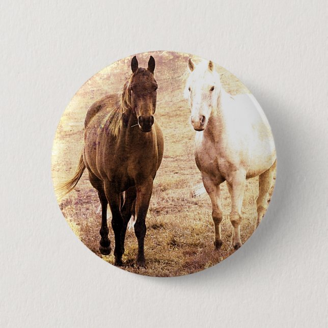 Horse Buddies Sepia Pinback Button (Front)