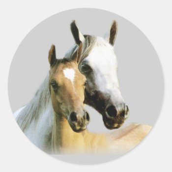 Horse Buddies Sticker by horsesense at Zazzle
