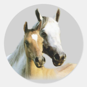 Horse Buddies Sticker