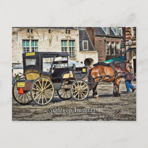 Horse Buggy Taxi, Sights of Amsterdam Postcard