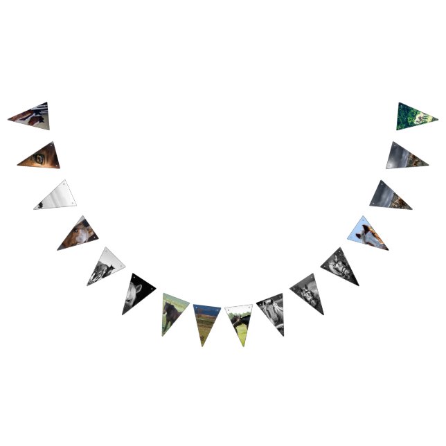 Horse Bunting Bunting Flags (All)