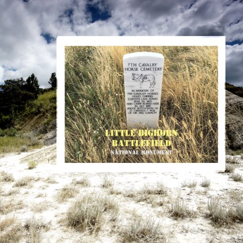 Horse Burial Marker Little Bighorn Battlefield Postcard
