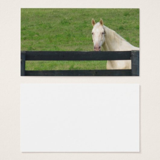 Horse busines card (Front & Back)