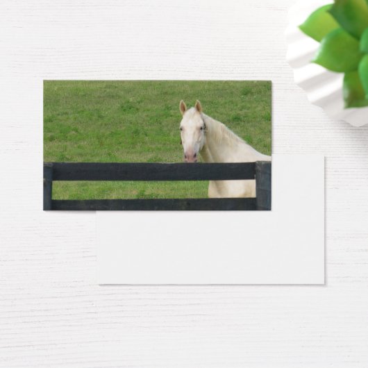 Horse busines card (Desk)