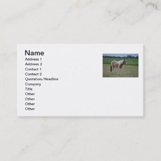 Horse Business Card