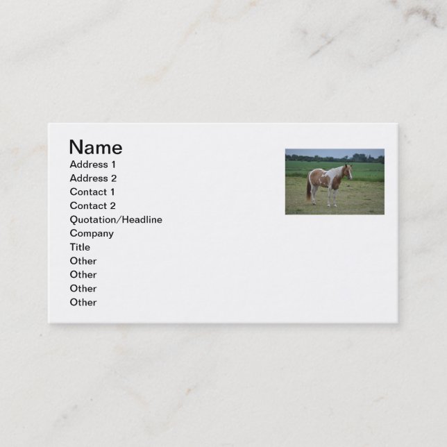 Horse Business Card (Front)