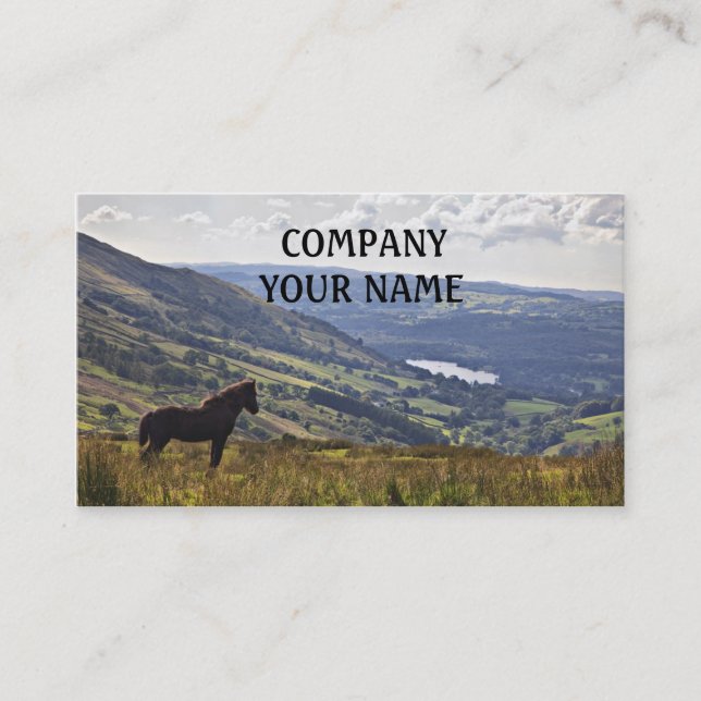 Horse Business Card (Front)