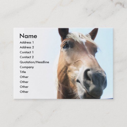 Horse Business Card