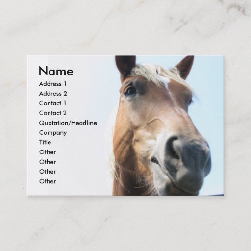 Customizable Horse Business Card