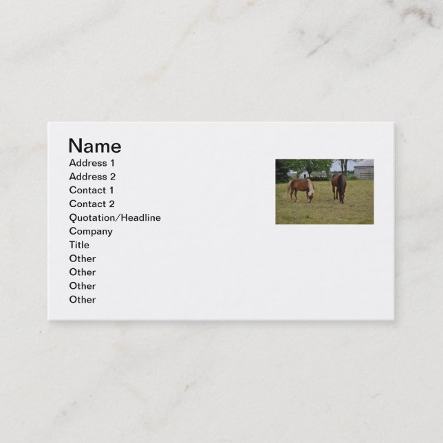 Horse Business Card (Front)