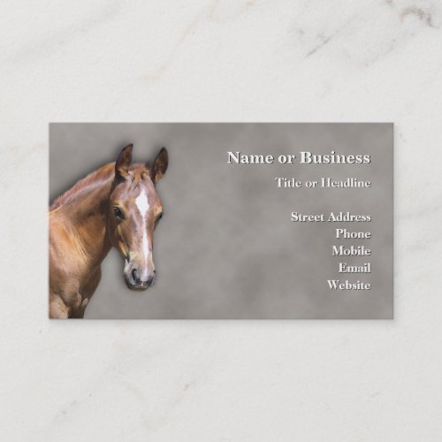 Horse Business Card