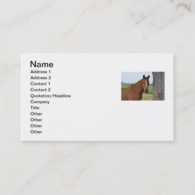 Horse Business Card (Front)
