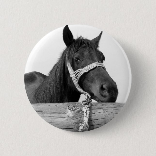 Horse Button (Front)