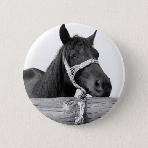 Horse Button