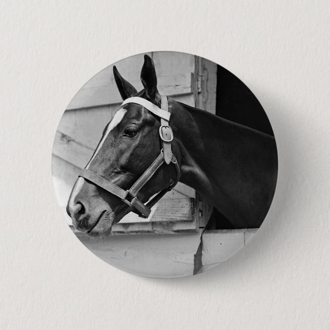 Horse Button (Front)