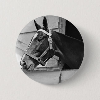 Horse Button