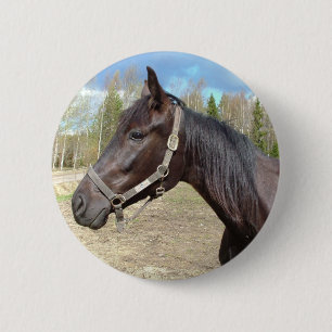Horse button