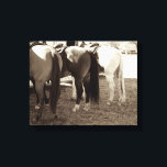 Horse Butts Canvas Photo Print<br><div class="desc">Three horse butts</div>