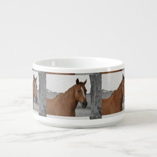 Horse By Tree Chili Bowl