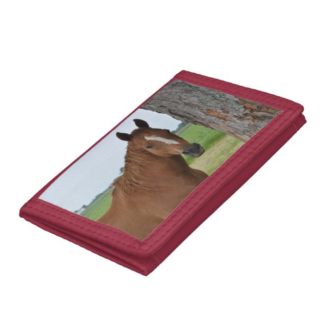Horse by Tree Wallet (Bottom)