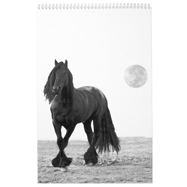 Horse Calendar (Cover)