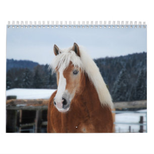Horse Calendar