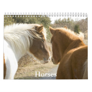 Horse Calendar