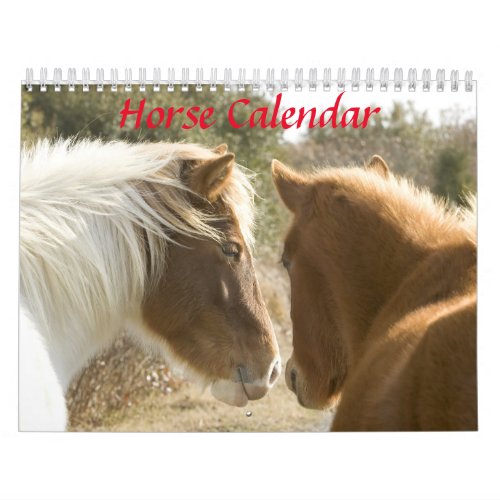 Horse Calendar