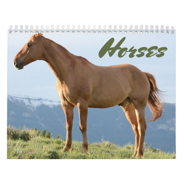 Horse Calendar (Cover)
