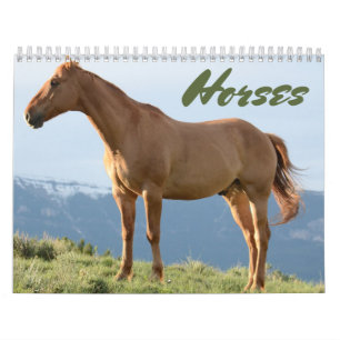 Horse Calendar