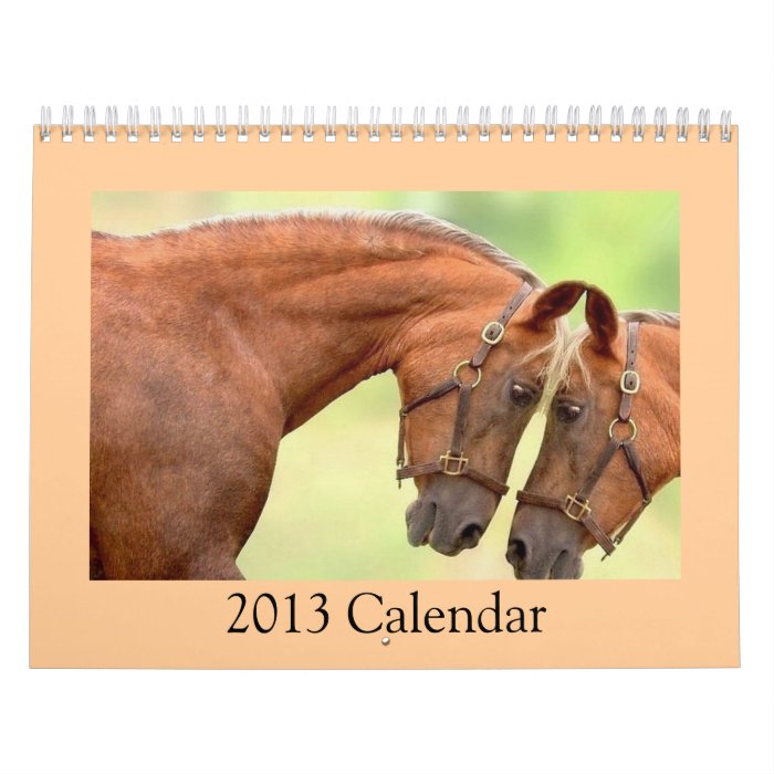 Harness Racing Horse Photo Calendar 2013.