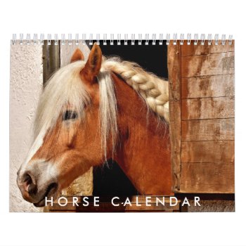 Horse Calendar 2024 by online_store at Zazzle
